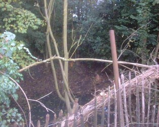 Hartley Kent: Pond at Bonsalls, Church Road