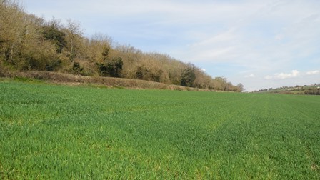 Hartley Kent: Grange Lane